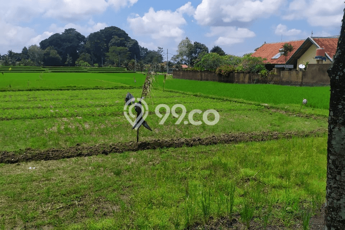 Tanah view keren di central ubud cocok villa Tanah view keren di central ubud cocok villa