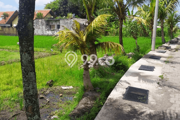 Tanah view keren di central ubud cocok villa Tanah view keren di central ubud cocok villa