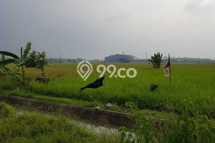 Tanah Dijual Lokasi Ciruas, Serang Luas 65000m2 Legalitas Aman Tanah Dijual Lokasi Ciruas, Serang Luas 65000m2 Legalitas Aman