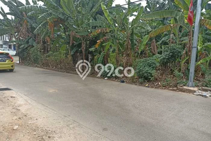 Jarang Ada! Tanah Kavling Disewakan di Depok 1830m2 Jarang Ada! Tanah Kavling Disewakan di Depok 1830m2