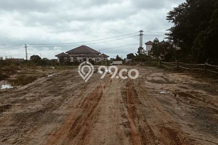 Kavling Tanah di Penajam Dijual Luas 30000m2 Legalitas SHM Kavling Tanah di Penajam Dijual Luas 30000m2 Legalitas SHM