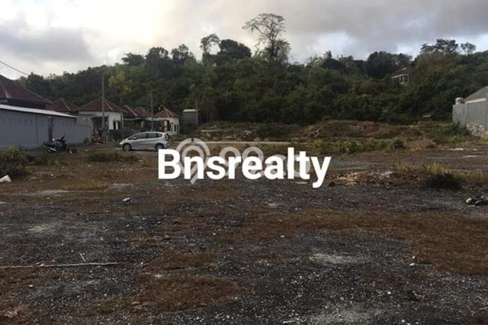 Tanah Investasi Dijual di Badung Punya Luas 4950m2 Tanah Investasi Dijual di Badung Punya Luas 4950m2