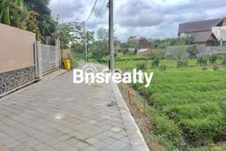 Untuk Disewa Tanah di Canggu Badung Seluas 1000m2 Untuk Disewa Tanah di Canggu Badung Seluas 1000m2