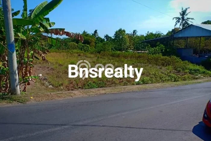 Dijual Tanah Lokasi Dalung, Badung Seluas 5000m2 Dijual Tanah Lokasi Dalung, Badung Seluas 5000m2