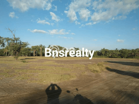 Tanah Dijual Lokasi Strategis di Buleleng dengan Luas 70000m2 Tanah Dijual Lokasi Strategis di Buleleng dengan Luas 70000m2
