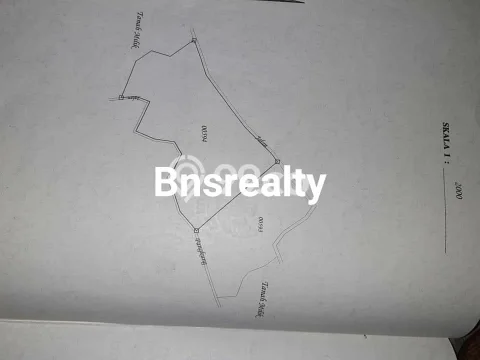 Tanah di Kubutambahan, Buleleng Luas 25000m2 Dijual Segera Tanah di Kubutambahan, Buleleng Luas 25000m2 Dijual Segera