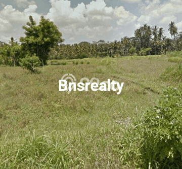 Dijual Tanah di Gianyar, Luas 2000m2 SHM Dijual Tanah di Gianyar, Luas 2000m2 SHM