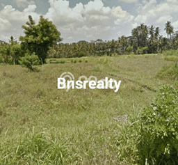 Dijual Tanah di Gianyar, Luas 2000m2 SHM Dijual Tanah di Gianyar, Luas 2000m2 SHM