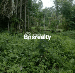 Untuk Dijual Tanah di Tegallalang Gianyar Luas 13500m2 SHM Untuk Dijual Tanah di Tegallalang Gianyar Luas 13500m2 SHM