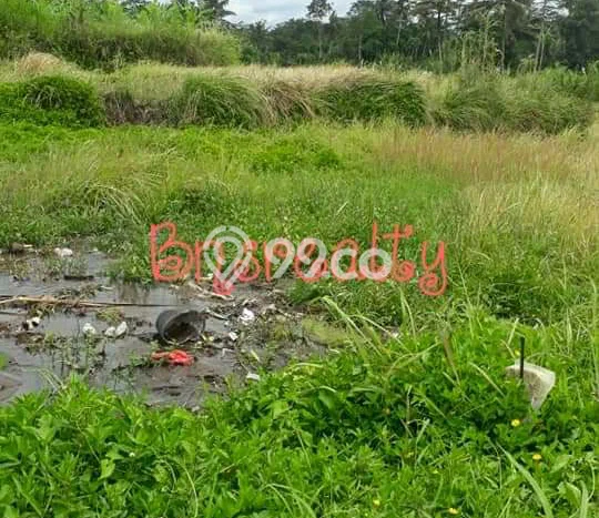 Tanah Dijual Area Strategis di Kelusa Gianyar 4000m2 Tanah Dijual Area Strategis di Kelusa Gianyar 4000m2