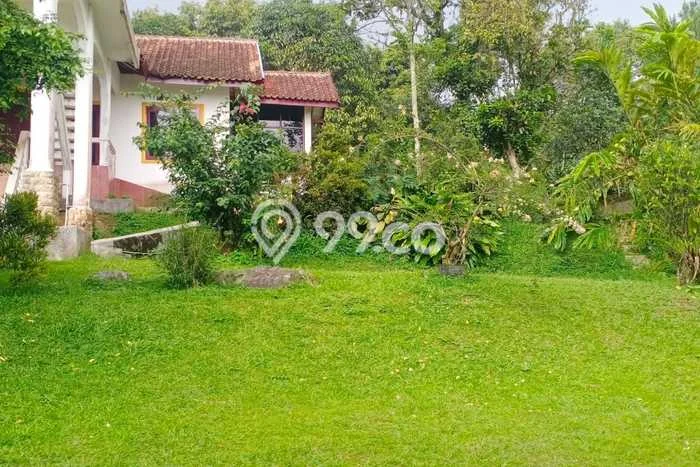 Jarang Ada! Tanah di Ciampea Punya Luas 2888m2 SHM Jarang Ada! Tanah di Ciampea Punya Luas 2888m2 SHM