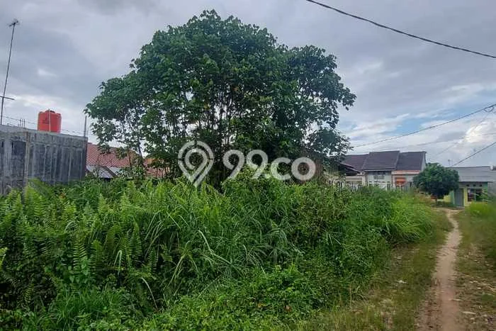 Lahan Kosong Dijual di Pekanbaru dengan Area 348m2 Lahan Kosong Dijual di Pekanbaru dengan Area 348m2