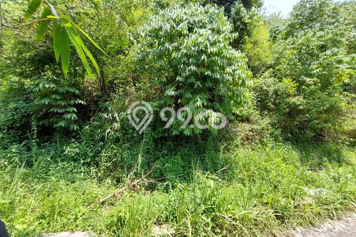 JUAL TANAH MURAH BANDUNG SEBELAH PERUMAHAN BANDUNG BARAT JUAL TANAH MURAH BANDUNG SEBELAH PERUMAHAN BANDUNG BARAT