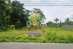 Lahan untuk Dijual Lokasi Ngaglik, Sleman Luas 7090m2 SHM Lahan untuk Dijual Lokasi Ngaglik, Sleman Luas 7090m2 SHM