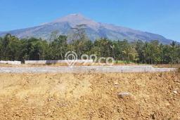 Tanah Dijual Lokasi Ampel, Boyolali Luas 46010m2 Legalitas Aman Tanah Dijual Lokasi Ampel, Boyolali Luas 46010m2 Legalitas Aman