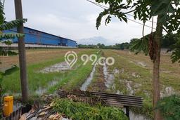 Tanah di Krian, Sidoarjo Luas 26000m2 Dijual Segera Tanah di Krian, Sidoarjo Luas 26000m2 Dijual Segera
