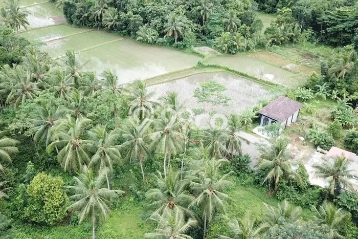 Tanah di Warunggunung, Luas 3500m2m², Area Potensial Tanah di Warunggunung, Luas 3500m2m², Area Potensial