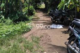 Lahan Kosong Dijual di Ubud, Gianyar, Luas 4800m2 Area Strategis Lahan Kosong Dijual di Ubud, Gianyar, Luas 4800m2 Area Strategis