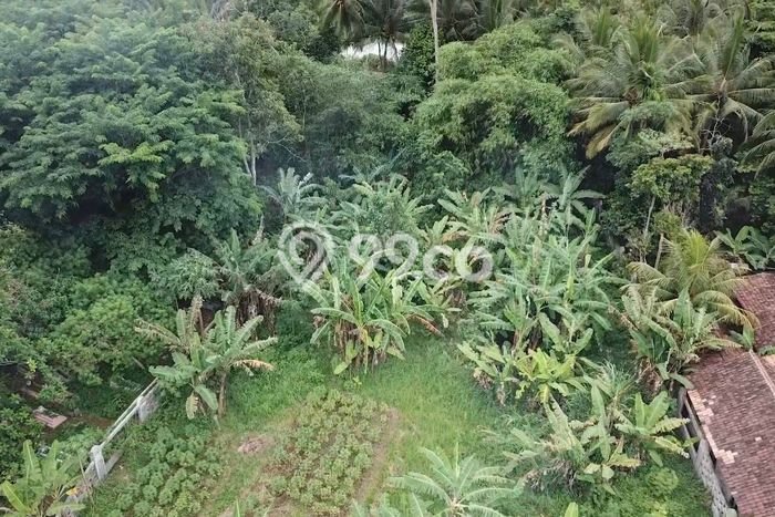 Tanah Dijual Lokasi Warunggunung Lebak SHM Tanah Dijual Lokasi Warunggunung Lebak SHM