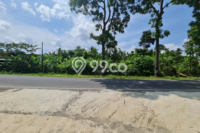 Lahan Strategis di Karangpandan Karanganyar Disewakan dengan Luas 1150m2 Lahan Strategis di Karangpandan Karanganyar Disewakan dengan Luas 1150m2