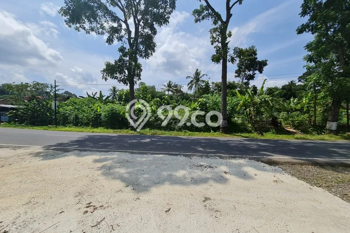 Lahan Strategis di Karangpandan Karanganyar Disewakan dengan Luas 1150m2 Lahan Strategis di Karangpandan Karanganyar Disewakan dengan Luas 1150m2