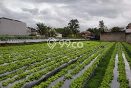 LOKASI STRATEGIS! Tanah Kawasan Setiabudi, Luas 800m2m², Jalur Strategis LOKASI STRATEGIS! Tanah Kawasan Setiabudi, Luas 800m2m², Jalur Strategis