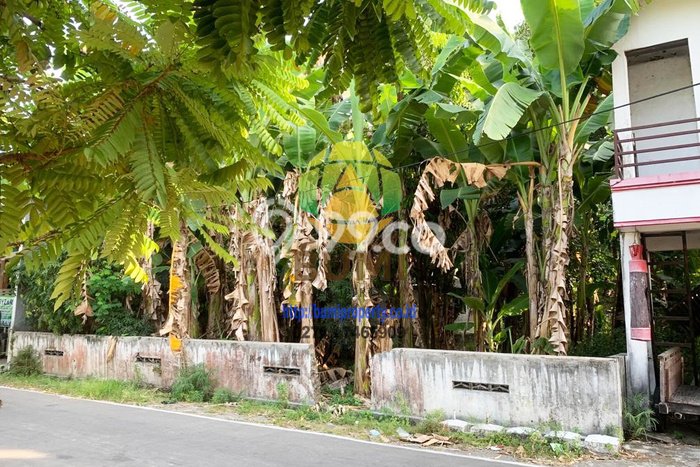 Tanah di Ngemplak, Boyolali Luas 539m2 Dijual Segera Tanah di Ngemplak, Boyolali Luas 539m2 Dijual Segera
