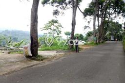 LOKASI PREMIUM! Tanah di Pamijahan, Luas 500m², Pinggir Jalan Utama LOKASI PREMIUM! Tanah di Pamijahan, Luas 500m², Pinggir Jalan Utama