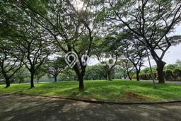 Tanah Dijual Area Strategis di Alam Sutera Tangerang 1100m2 Tanah Dijual Area Strategis di Alam Sutera Tangerang 1100m2