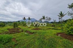 Tanah Kavling untuk Dijual di Karangpandan Karanganyar 1197m2 Tanah Kavling untuk Dijual di Karangpandan Karanganyar 1197m2