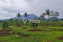 Tanah Komersial Dijual di Karangpandan Karanganyar 1197m2 Tanah Komersial Dijual di Karangpandan Karanganyar 1197m2