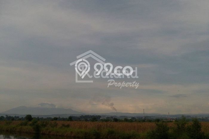 Kavling Tanah Dijual di Kaliwungu, Semarang, Luas 5000m2 Area Strategis Kavling Tanah Dijual di Kaliwungu, Semarang, Luas 5000m2 Area Strategis