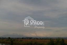 Kavling Tanah Dijual di Kaliwungu, Semarang, Luas 5000m2 Area Strategis Kavling Tanah Dijual di Kaliwungu, Semarang, Luas 5000m2 Area Strategis