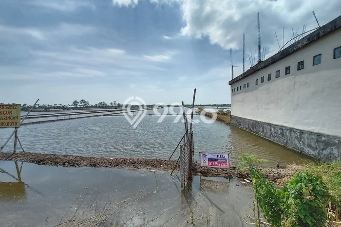 Dijual Tanah di Kaliwungu Kendal Luas 8852m2 SHM Dijual Tanah di Kaliwungu Kendal Luas 8852m2 SHM