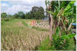 Tanah Dijual Lokasi Ambarawa, Ambarawa Luas 6680m2 Legalitas Aman Tanah Dijual Lokasi Ambarawa, Ambarawa Luas 6680m2 Legalitas Aman