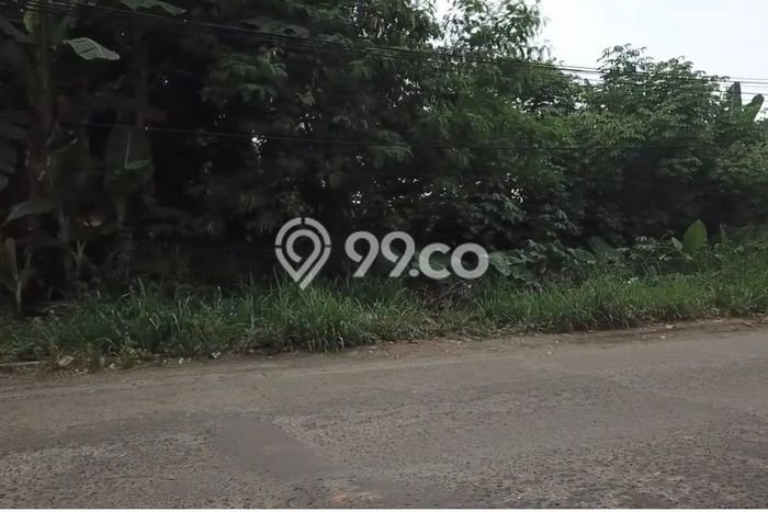 Lahan Strategis di Cisauk Dijual dengan Luas 5000m2 Lahan Strategis di Cisauk Dijual dengan Luas 5000m2