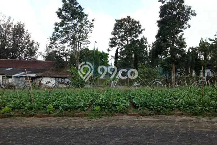 Tanah untuk Dijual Lokasi Cipanas, Cianjur Luas 479m2 - Tanah untuk Dijual Lokasi Cipanas, Cianjur Luas 479m2 -