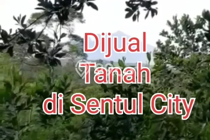Tanah untuk Dijual Lokasi Babakan Madang, Bogor Luas 8600m2 SHM Tanah untuk Dijual Lokasi Babakan Madang, Bogor Luas 8600m2 SHM