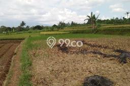 Tanah Strategis Dijual di Cijeruk Bogor 1269m2 Tanah Strategis Dijual di Cijeruk Bogor 1269m2