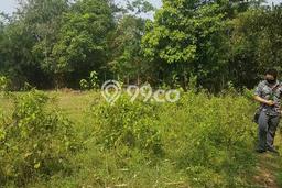 Tanah di Cariu, Bogor Luas 12000m2 Dijual Segera Tanah di Cariu, Bogor Luas 12000m2 Dijual Segera