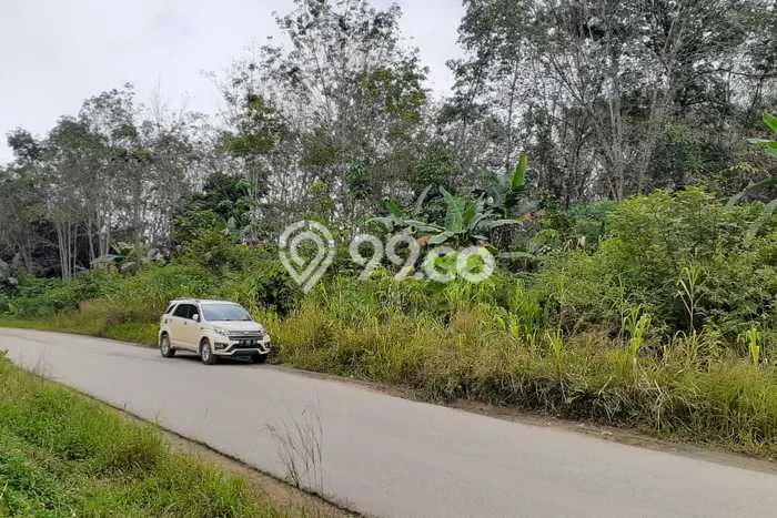 Tanah Area Berkembang Kawasan Sepaku, Luas 100000m², Ideal untuk Usaha Tanah Area Berkembang Kawasan Sepaku, Luas 100000m², Ideal untuk Usaha