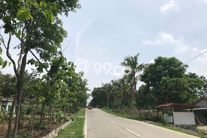 Untuk Dijual Tanah di Karanggede Boyolali Luas 74999m2 SHM Untuk Dijual Tanah di Karanggede Boyolali Luas 74999m2 SHM
