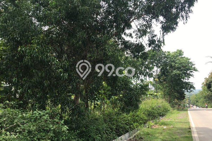 Untuk Dijual Tanah di Karanggede Boyolali Luas 74999m2 SHM Untuk Dijual Tanah di Karanggede Boyolali Luas 74999m2 SHM