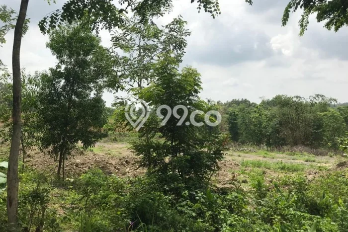 Tanah untuk Dijual di Karanggede Boyolali Luas 75000m2 Tanah untuk Dijual di Karanggede Boyolali Luas 75000m2
