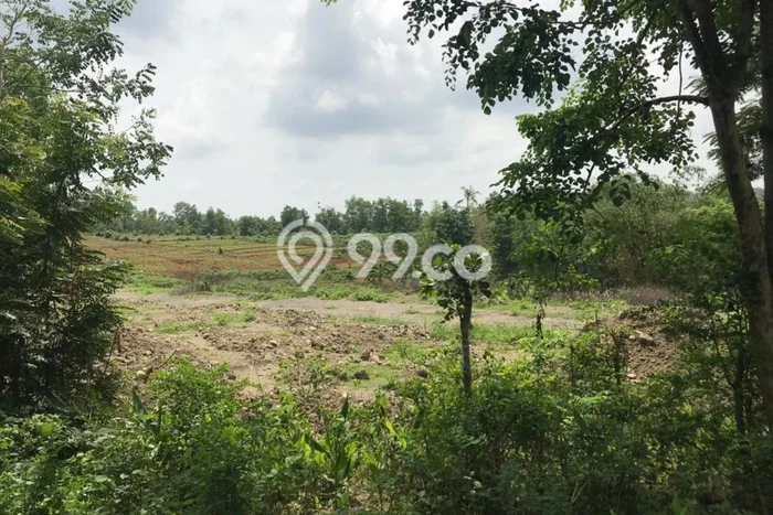Tanah untuk Dijual di Karanggede Boyolali Luas 75000m2 Tanah untuk Dijual di Karanggede Boyolali Luas 75000m2