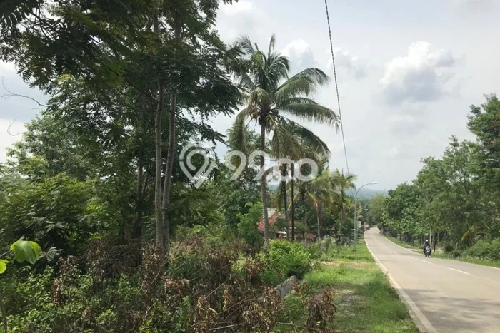 Tanah untuk Dijual di Karanggede Boyolali Luas 75000m2 Tanah untuk Dijual di Karanggede Boyolali Luas 75000m2