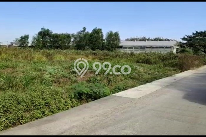 Dijual Tanah di Kalijambe Sragen Luas 54999m2 HGB Dijual Tanah di Kalijambe Sragen Luas 54999m2 HGB