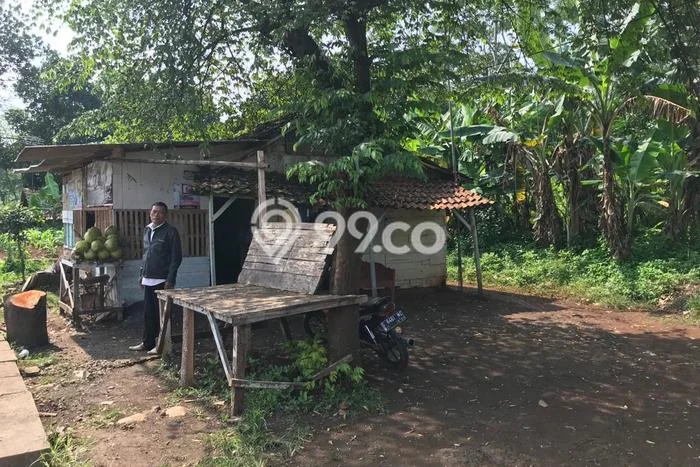 Tanah Dijual Lokasi Tulis, Batang Luas 50000m2 Legalitas Aman Tanah Dijual Lokasi Tulis, Batang Luas 50000m2 Legalitas Aman