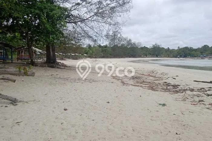 Tanah untuk Dijual di Bintan Timur Bintan Luas 97000m2 Tanah untuk Dijual di Bintan Timur Bintan Luas 97000m2