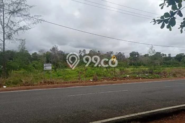 Tanah untuk Dijual di Bintan Timur Bintan Luas 97000m2 Tanah untuk Dijual di Bintan Timur Bintan Luas 97000m2